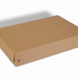 Boite Euroboxes avec couvercle et fermeture autocollante COLOMPAC, bande d'arrachage kraft brun taille XL570x382x94